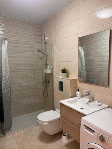 a bathroom with a shower and a toilet and a sink at Valdés in Callao Salvaje