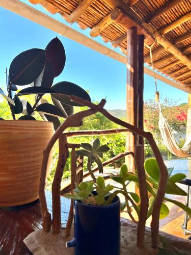 a potted plant sitting on a table next to a window at Casa Castañeto Barichara in Barichara