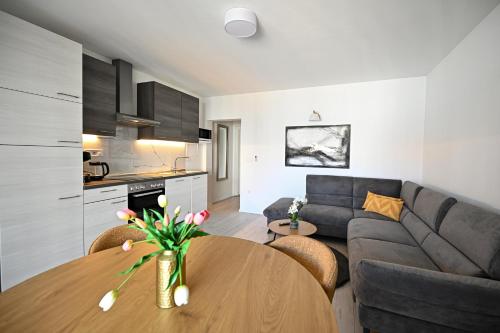 Apartmani Kozina