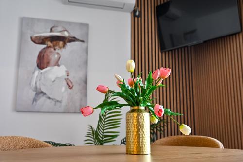 Apartmani Kozina
