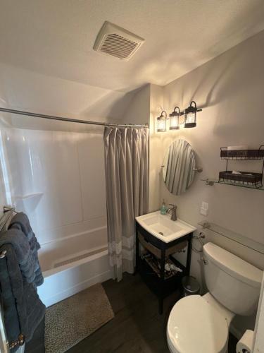 a bathroom with a toilet and a sink at Albert Lea revival in Albert Lea