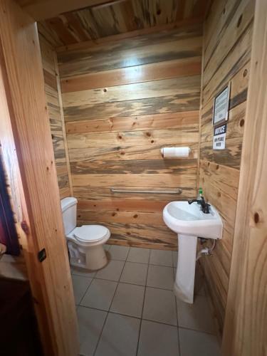 a bathroom with a toilet and a sink at Cabin 1 The Glacier in Hot Springs