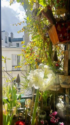 Marais Picasso - Appartement de 40 m2