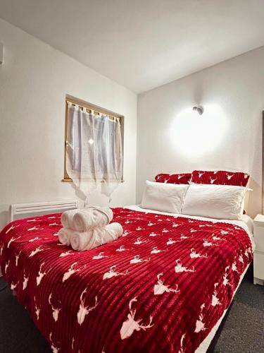 Le cocon du Vieux Colmar - Design et cosy - Hypercentre Colmar