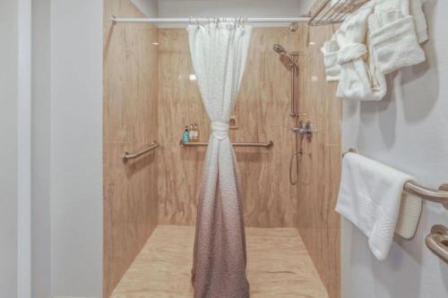 a shower with a curtain in a bathroom at RiverWalk Inn in Pagosa Springs