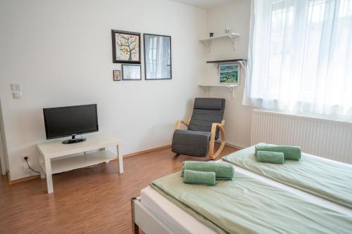 Cosy Vienna home
