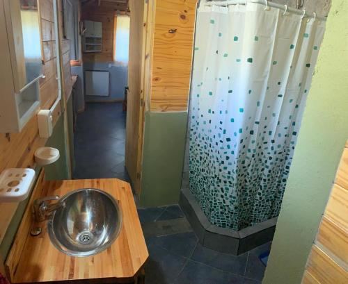 a bathroom with a metal sink and a shower at Carelhue in Epuyén