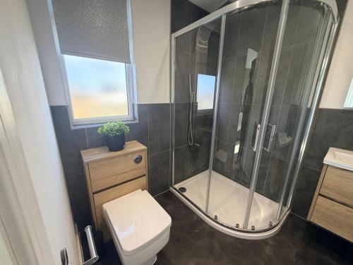 a bathroom with a shower and a toilet at The Alcove Retreat in Bristol