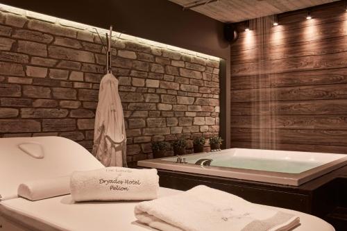 Fotografie z fotogalerie ubytování Hotel Dryades and Spa v destinaci Agios Lavredios