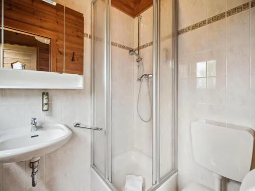 a bathroom with a shower and a sink at Finnische Blockhausstilhäuser im Harz in Benneckenstein