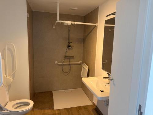 a bathroom with a shower and a toilet and a sink at City apartment with terrace in Hasselt