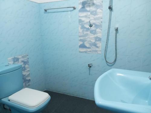 a bathroom with a shower and a toilet and a sink at Mango Oasis - Holiday Bangalow in Habarana