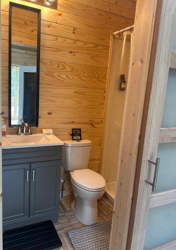 a bathroom with a toilet and a sink and a shower at Off the Road Oasis in Lufkin
