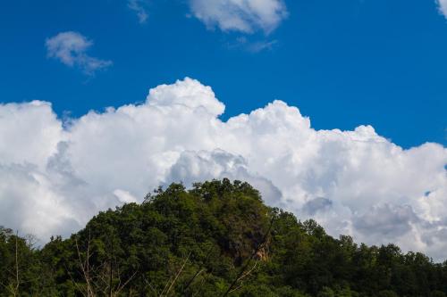Gallery image of Phu Pha View Doi in Samoeng