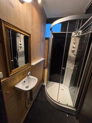 a bathroom with a sink and a shower and a mirror at Loft appartement centrum Dordrecht nieuw 2026 in Dordrecht