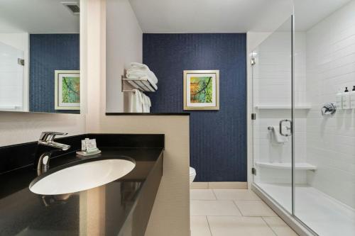 a bathroom with a sink and a shower at Fairfield Inn & Suites by Marriott Durango in Durango