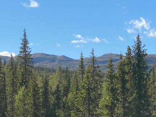 a forest of trees with mountains in the background at Synnfjell hytta in Nord Torpa