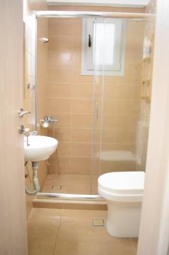 a bathroom with a shower and a toilet and a sink at Zk House Kythnos in Mérikhas