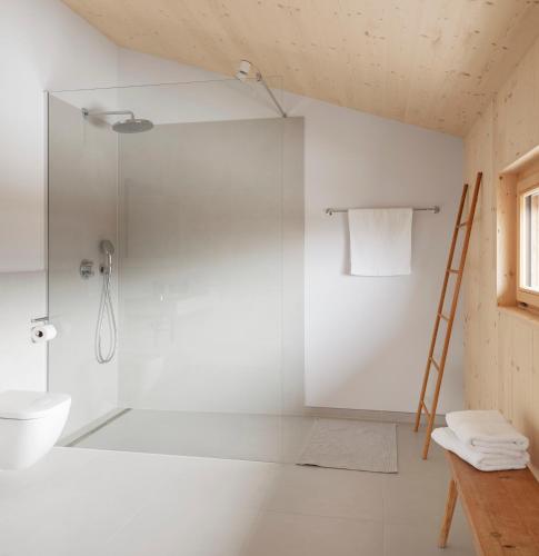 a bathroom with a shower and a toilet and a ladder at Haus Kienzerleweg in Bad Kohlgrub