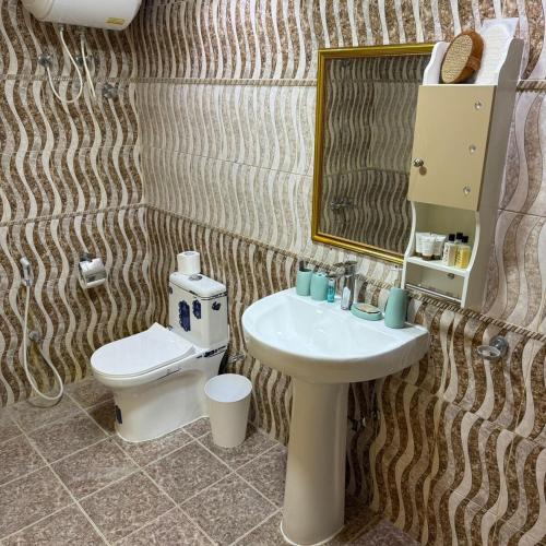 a bathroom with a sink and a toilet and a mirror at safeer farm in Qūr