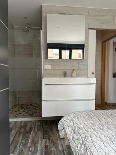 a bathroom with a sink and a shower at T1 studio in Farschviller