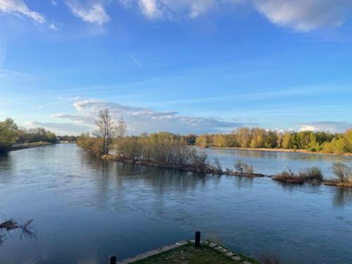 a view of a river with trees in the distance at Chambres d’hôtes Le relais de Mantelot in Châtillon-sur-Loire