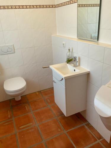 a bathroom with a sink and a toilet at See & Natur Apartment Uffing in Uffing