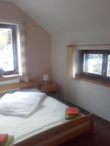 a bedroom with a bed and two windows at Hotel Anna in Harrachov