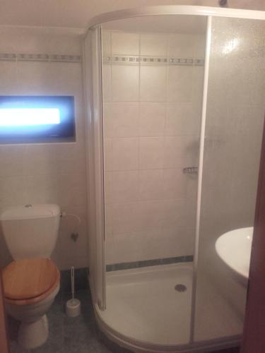 a bathroom with a shower and a toilet and a sink at Hotel Anna in Harrachov