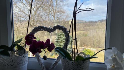 two vases with flowers and a heart in a window at Zollhaus 26 in Hohegeiß
