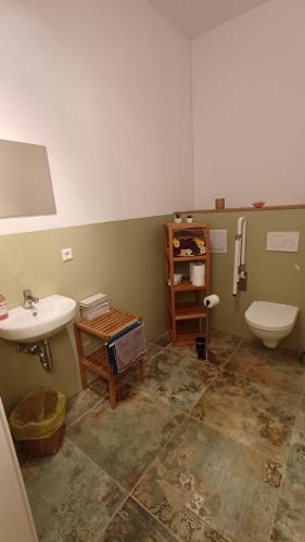 a bathroom with a sink and a toilet at Sonnentor in Bad Wurzach