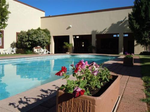 a swimming pool with flowers in a planter next to a building at Colesberg Lodge in Colesberg