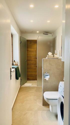a bathroom with a toilet and a sliding door at Ferienhaus Anni in Kreuth