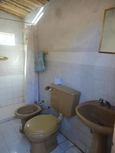 a bathroom with a toilet and a sink at Casa de Campo Clarita y Hector in Ovara