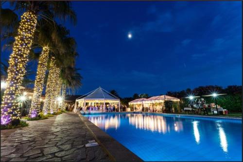 a pool at night with christmas lights and a palm tree at CHouse Golf MarediRoma in Ardea