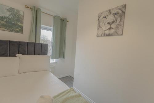 2BR Detached Home with Free Parking, Fast WiFi & Dart Board photo 19