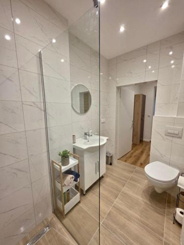 a bathroom with a toilet and a sink and a shower at Ferienwohnung "Wohnung in Haus" in Neunkirchen
