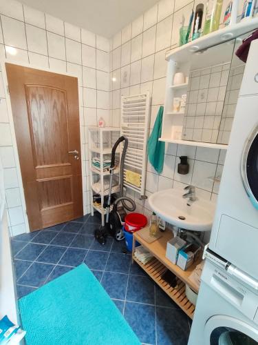 a bathroom with a sink and a mirror and a sink at Fair-Hostel in Darmstadt