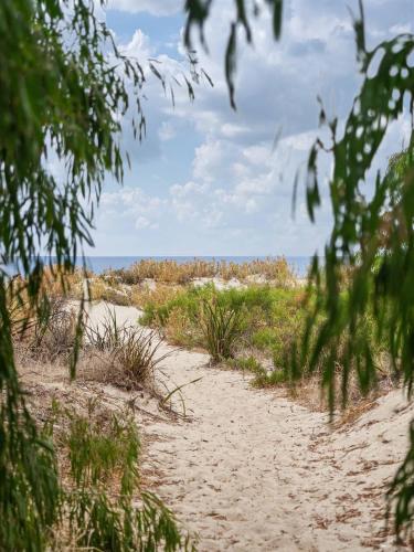 a sandy path to the beach with the ocean in the background at 1CapeView beachfront Geographe Bay in Broadwater