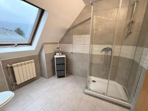 a bathroom with a shower and a toilet and a sink at Apartments in Green House in Bovec