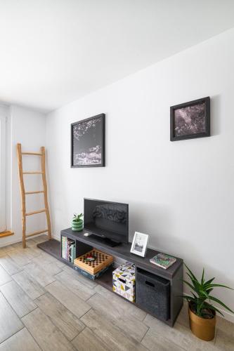 TV a/nebo společenská místnost v ubytování Green Garden Studio