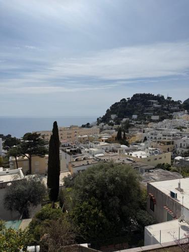 a view of a city with a hill in the background at Capri Suite Dreams in Capri