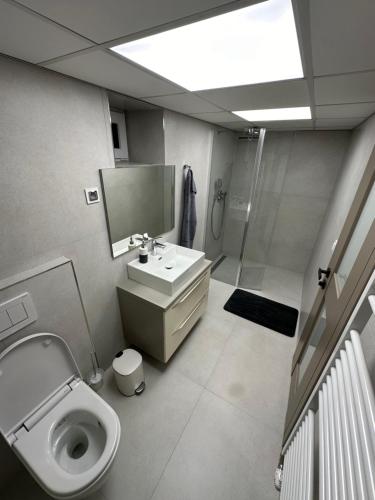 a bathroom with a toilet and a sink and a shower at Fully Equipped Guest House Košice-Barca in Košice