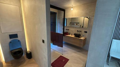 a bathroom with a sink and a toilet in a room at Executive Villa with pool in Londerzeel