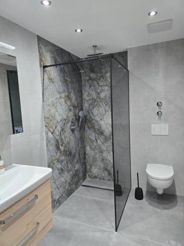 a bathroom with a shower with a toilet and a sink at Ferienwohnung Christine in Bischofswiesen