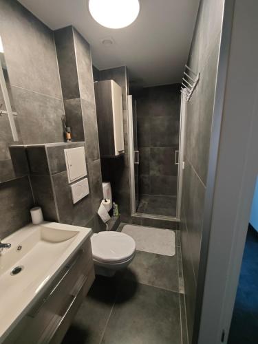 a bathroom with a toilet and a sink and a shower at Zimmervermietung-Nbg in Nuremberg