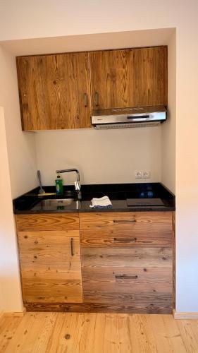 a kitchen with a sink and wooden cabinets at Vogelbauer Apartments in Egling