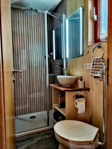 a bathroom with a toilet and a sink at Haus Sommerseit'n Ruhe-Natur-Genuss in Hirschbach