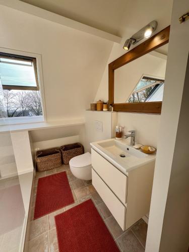 a bathroom with a toilet and a sink and a mirror at Nid douillet Les Mouettes in Fouesnant