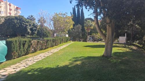 EL Estudio de Nahuel